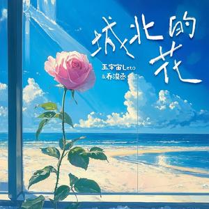 97视频在线观看托儿所
